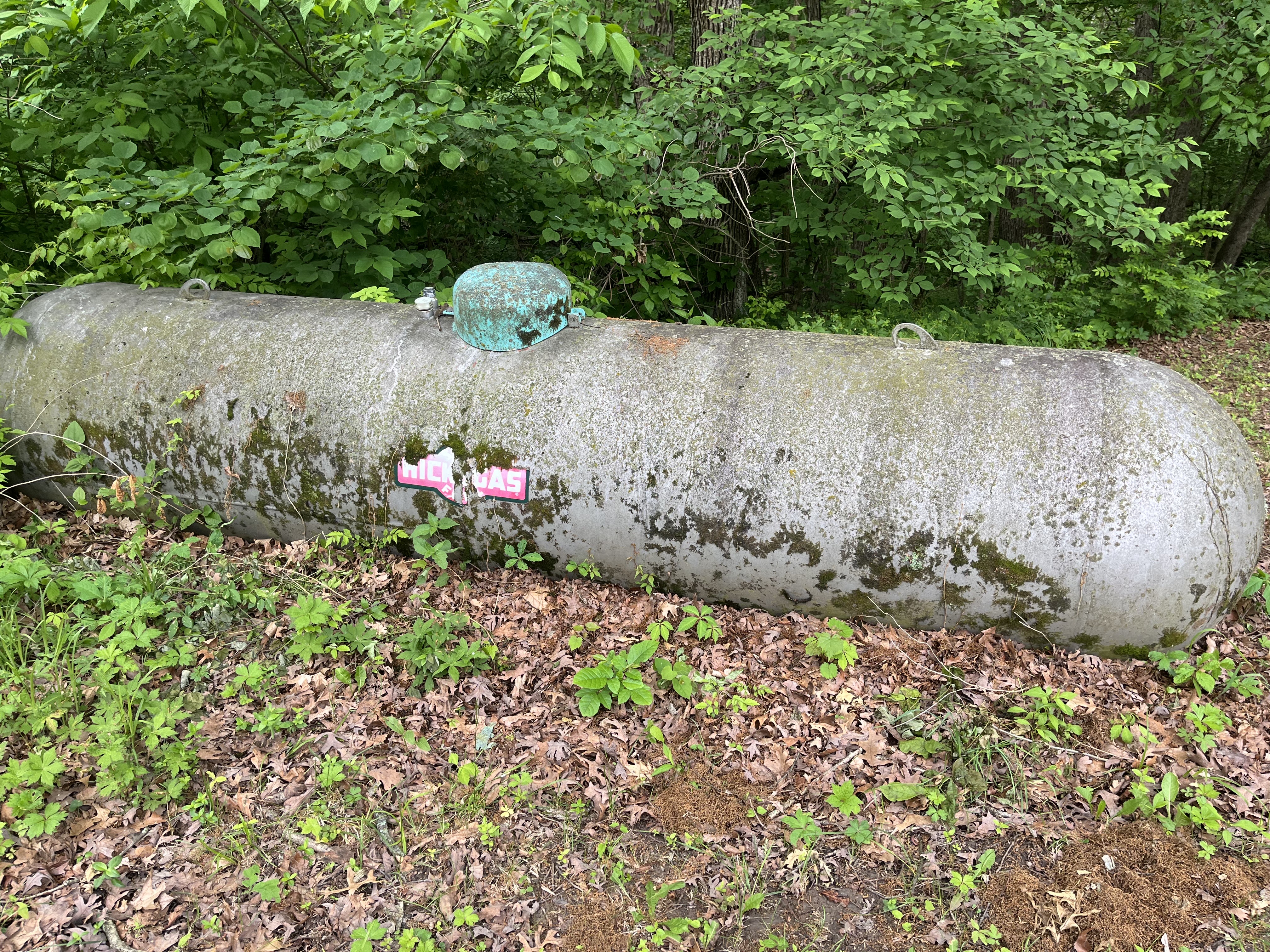 Propane Tank before cleaning